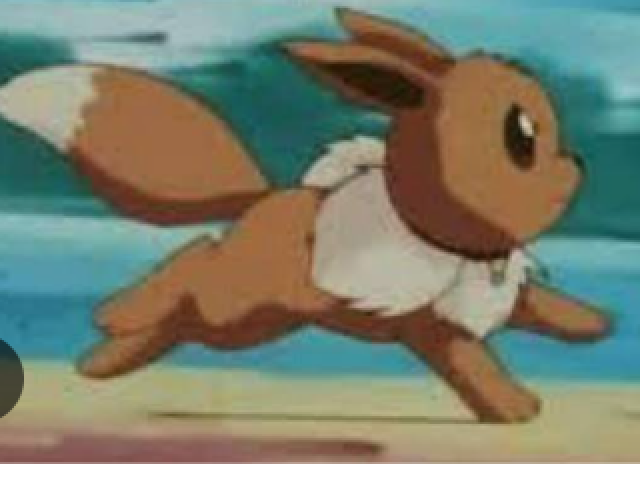 Corre pra o seu pokémon n se machucar