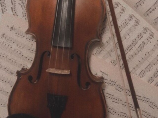 Violino