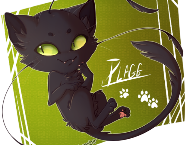 Plagg! 🐱 O Miraculous da Destruição