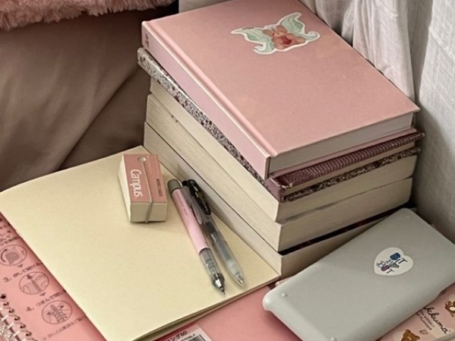 Material escolar coquette