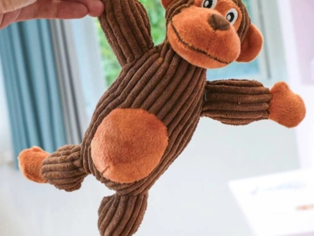Macaquinho
Bem cachorro mimado🥰