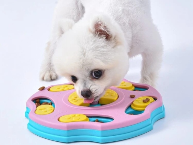 Brinquedinho
Para cachorro comilão
