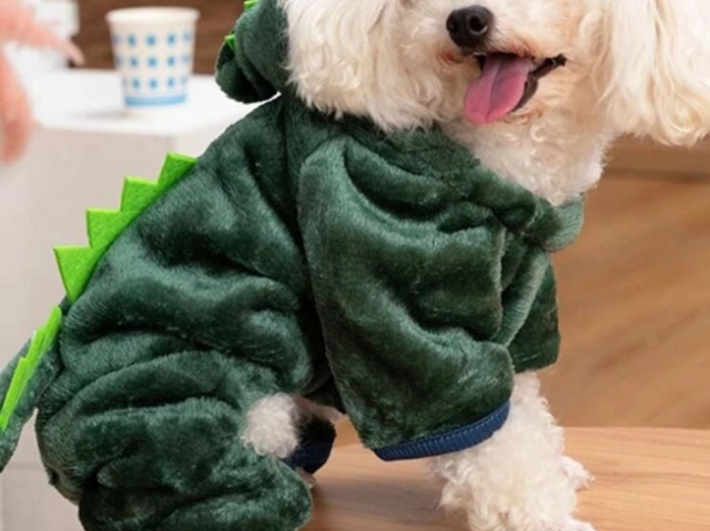 Roupinha mais selvagem🦖