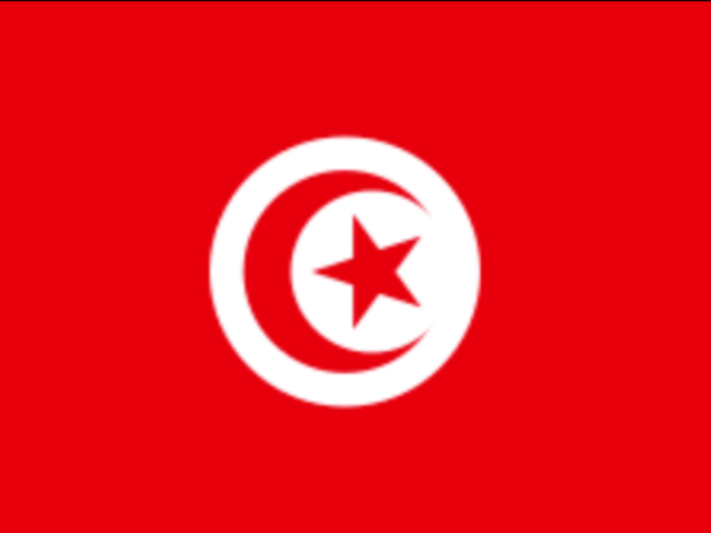 16. Tunisia
