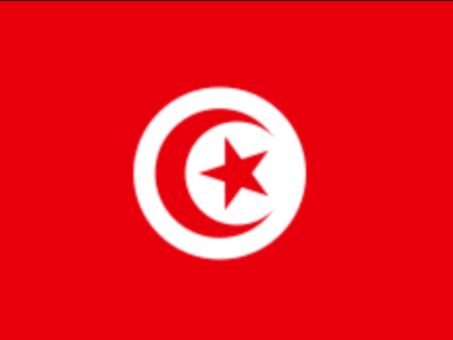 16. 16. Tunisia