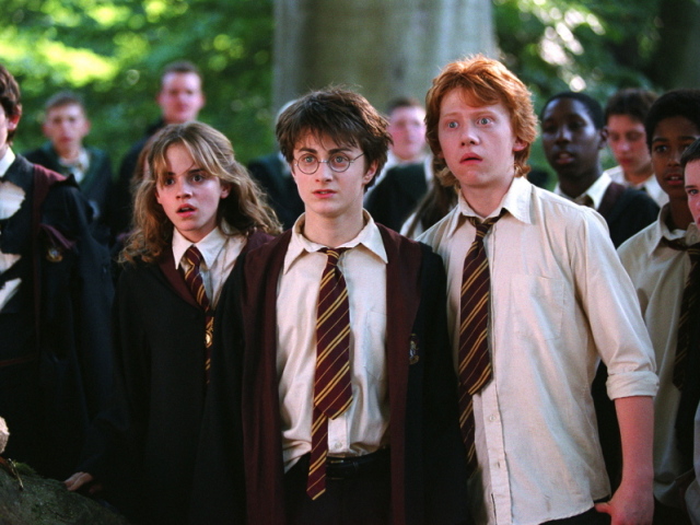 Quem disse isso? -✨Versão Harry Potter✨
