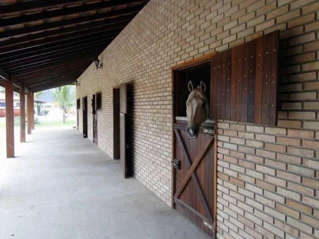 Apenas portas de madeira