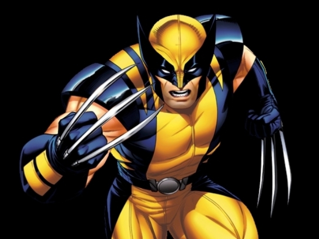 3. Wolverine.