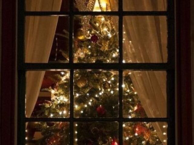 Natal não TÂOOOO legal! mas parabéns! 💚💗