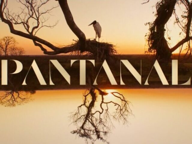 Qual animal do Pantanal você seria?