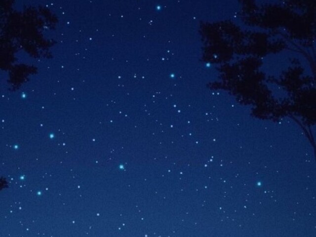 Noite