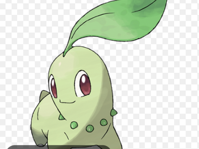 Chikorita