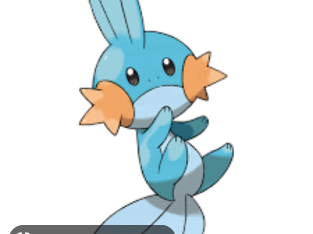 Mudkip