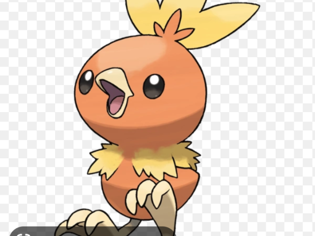 Torchic