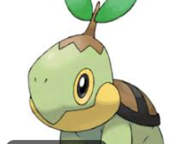 Turtwig