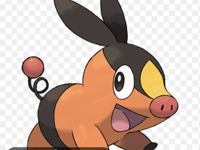 Tepig