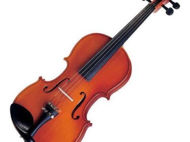 Violino