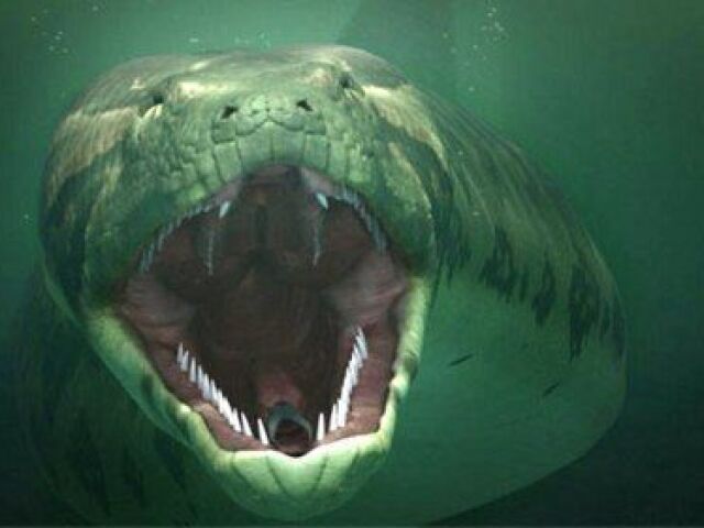 Titanoboa