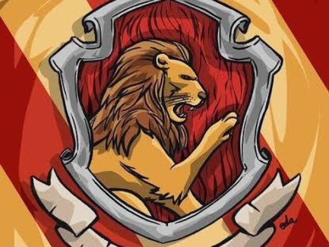 Grifinória ❤️💛