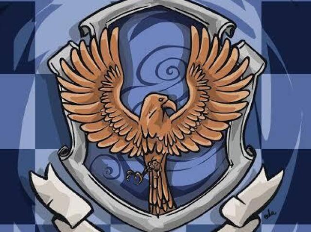 Corvinal 💙🧡