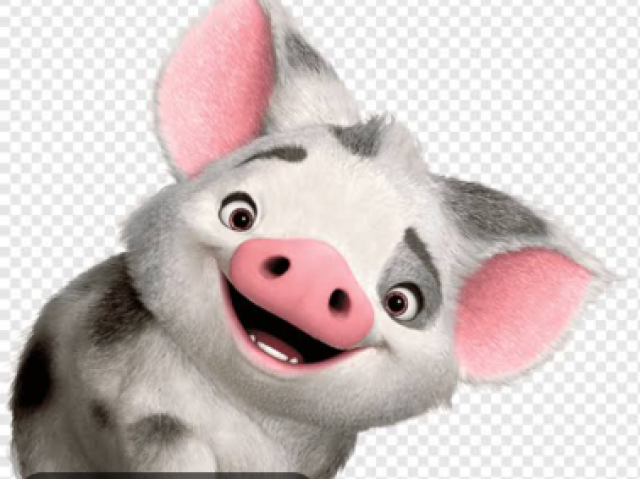 Pua