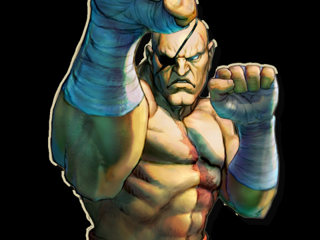 Sagat
