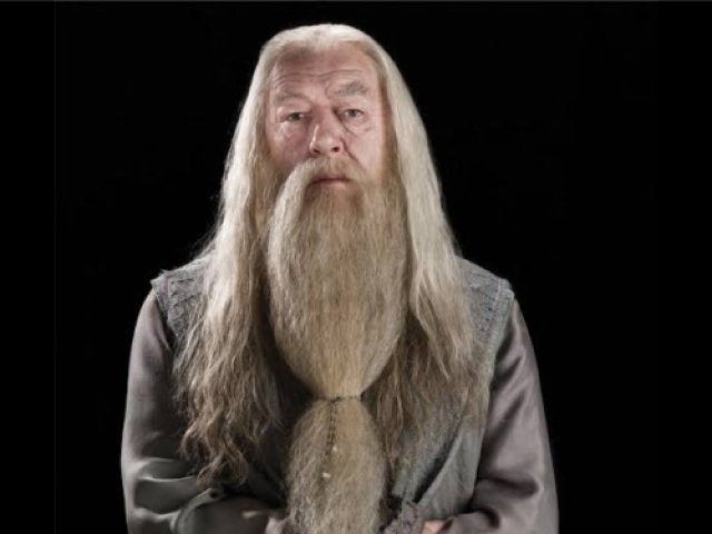 Qual sua casa de Hogwarts?