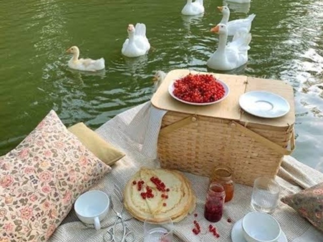 🍰picnic na beira do lago? 🍰