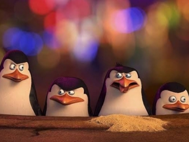 Pinguins de Madagascar.