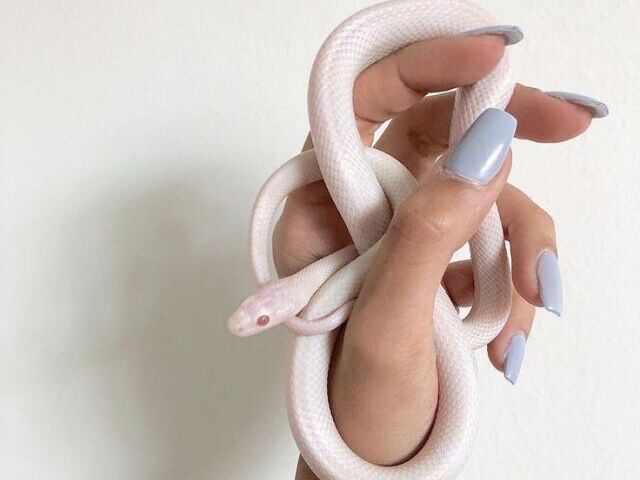 ˚ ༘♡ ⋆。˚