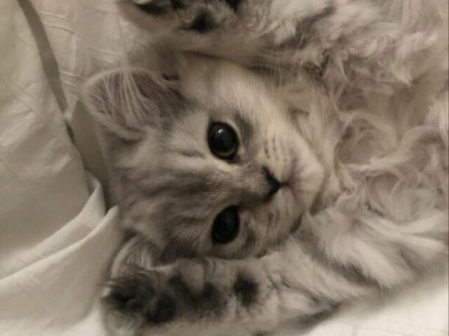 ˚ ༘♡ ⋆。˚