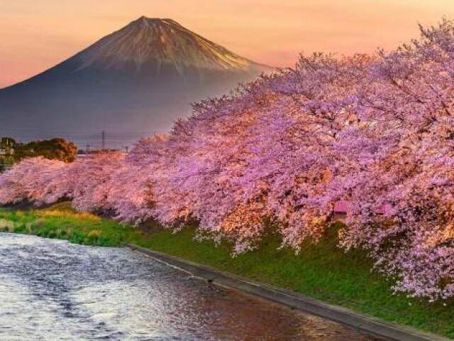 Primavera