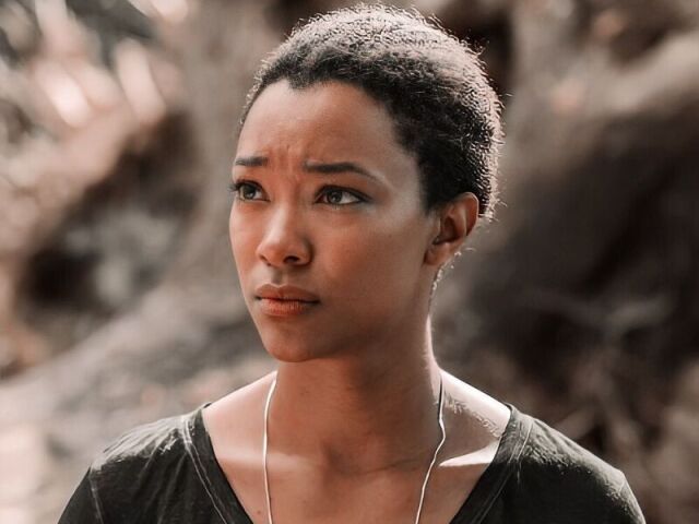 Sasha Williams