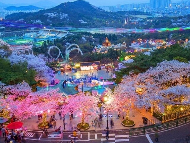Daegu