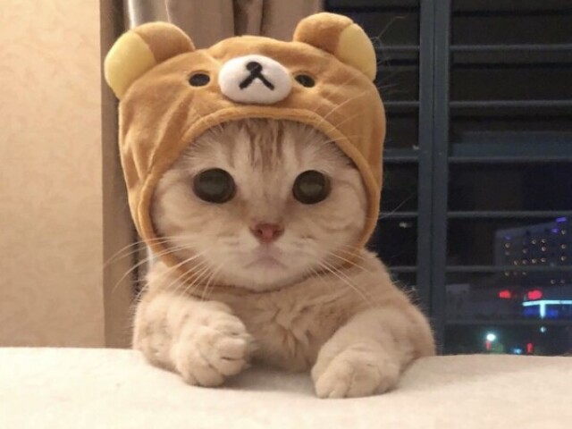 Monte o seu dia perfeito! <33 🤩