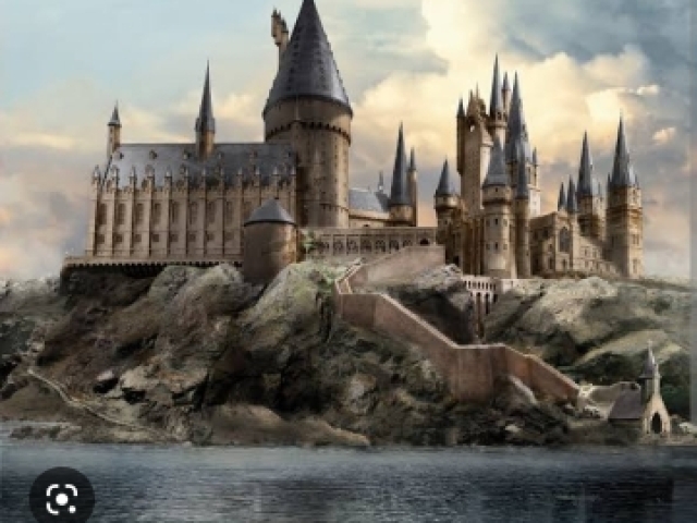 Você é de qual casa de hogwarts? 🦨🦁🐍🦅