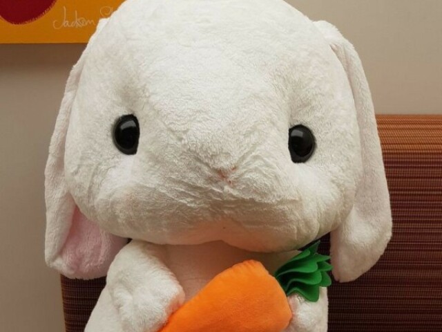 ʕ´•ᴥ•`ʔ