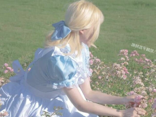 Princesa Dos Animais
