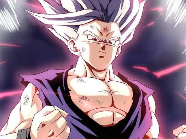 Meus parabéns você tirou o gohan