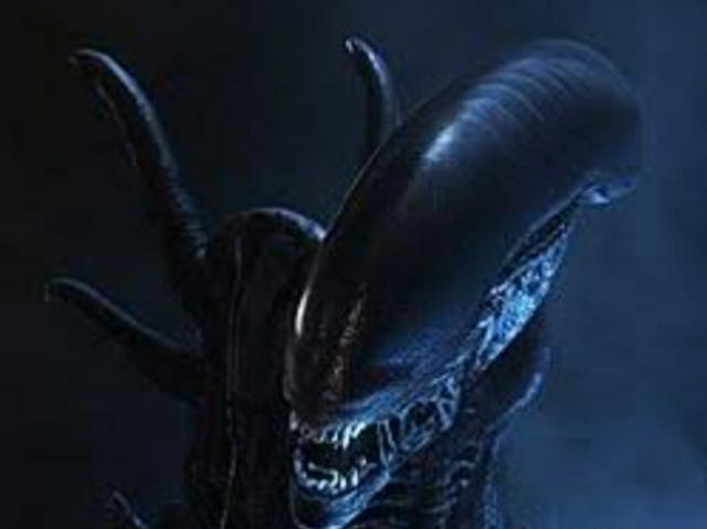 Xenomorfo