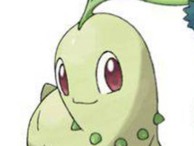 Chikorita