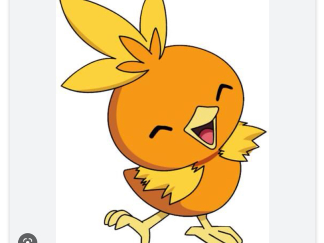 Torchic