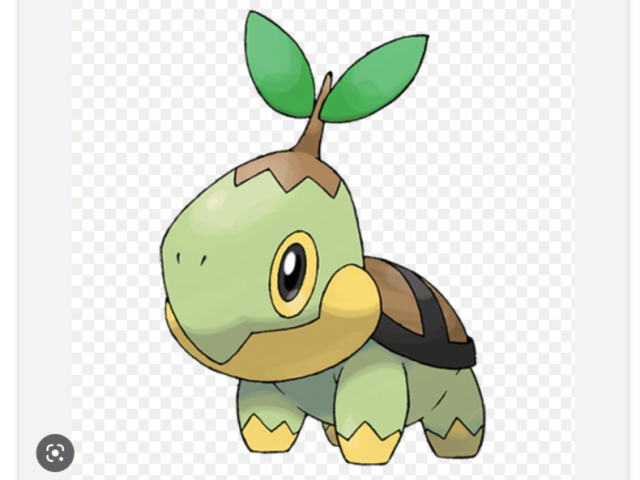 Turtwig