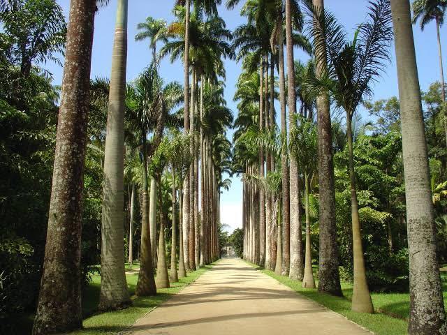 Passear no parque.