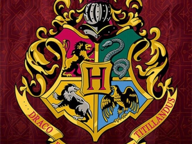 Qual seria sua casa em Hogwarts?