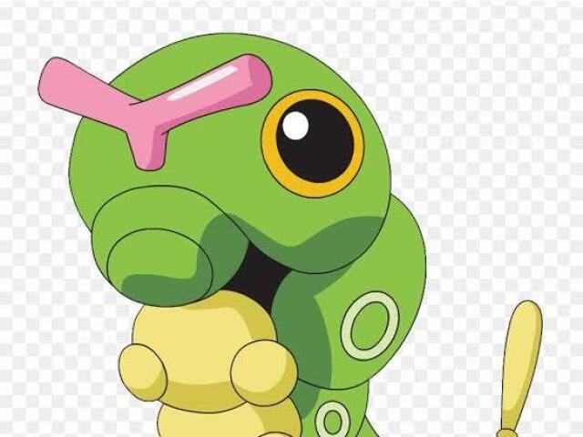 Caterpie