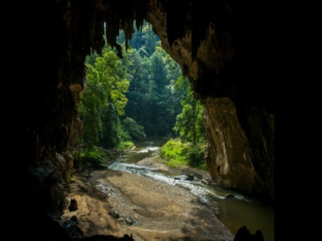 Caverna; num lugar escuro e mais úmido.