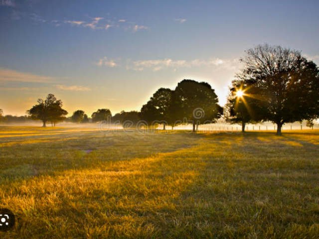 campo aberto