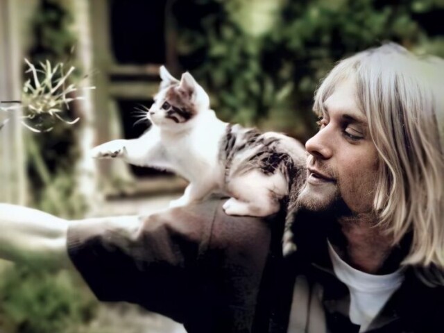 Kurt cobain