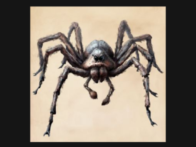 Acromantula